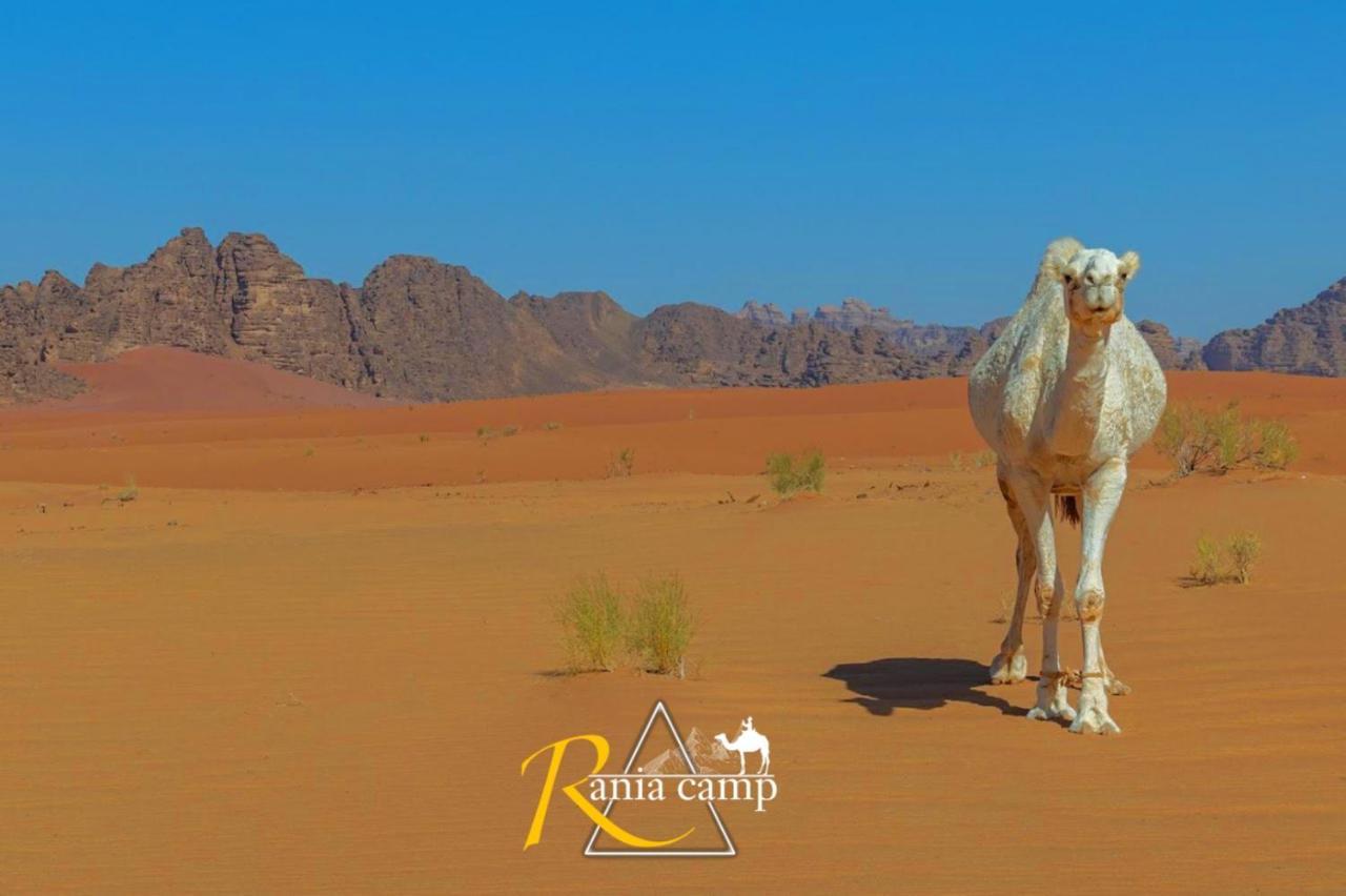 Wadi Rum,Rania Camp Exterior foto